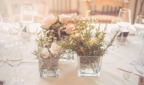 Location de salle pour une réception de mariage - Asnières-sur-Saône - Le Port d'Asnières 